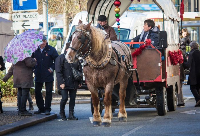 Marché de Noël 2018 à Ploërmel ©JF-GUILLON - Agrandir l'image, .JPG 330Ko (fenêtre modale)