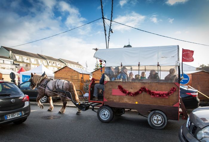 Marché de Noël 2018 à Ploërmel ©JF-GUILLON - Agrandir l'image, .JPG 276Ko (fenêtre modale)