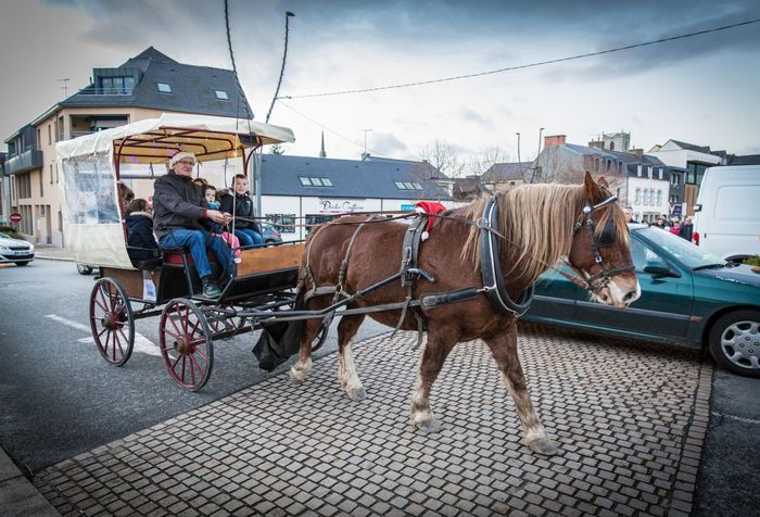 Marché de Noël 2018 à Ploërmel ©JF-GUILLON - Agrandir l'image, .JPG 351Ko (fenêtre modale)