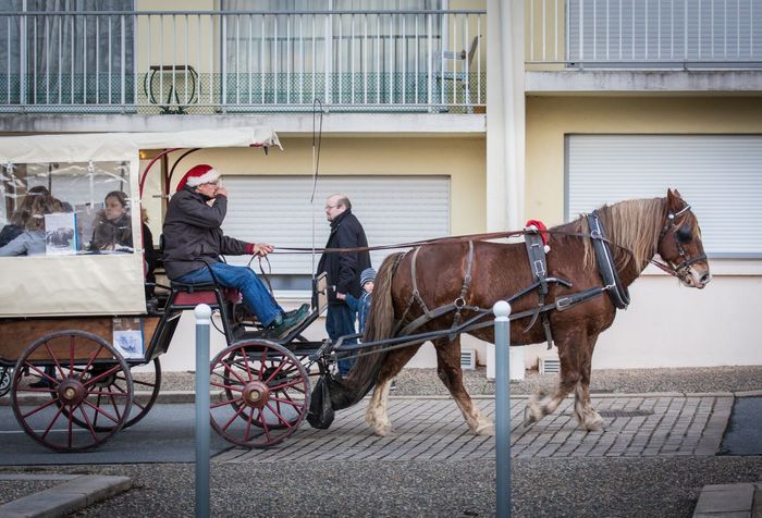 Marché de Noël 2018 à Ploërmel ©JF-GUILLON - Agrandir l'image, .JPG 336Ko (fenêtre modale)