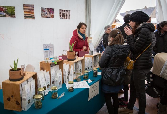 Marché de Noël 2018 à Ploërmel ©JF-GUILLON - Agrandir l'image, .JPG 224Ko (fenêtre modale)