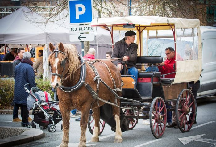 Marché de Noël 2018 à Ploërmel ©JF-GUILLON - Agrandir l'image, .JPG 309Ko (fenêtre modale)