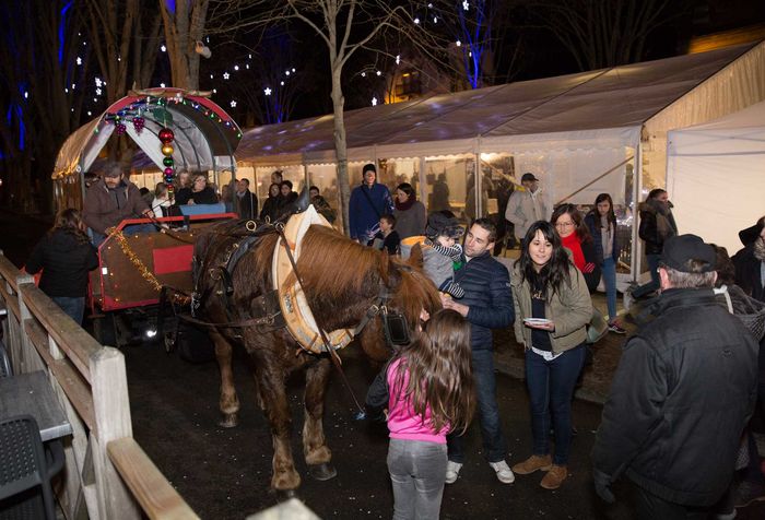 Marché de Noël à Ploërmel - Agrandir l'image, .JPG 242Ko (fenêtre modale)