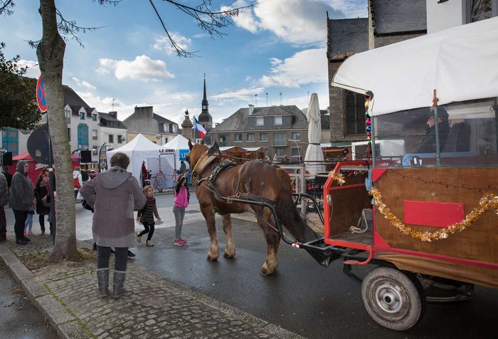 Marché de Noël à Ploërmel - Agrandir l'image, .JPG 265Ko (fenêtre modale)